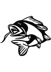 Fish, Fishing, Outdoor, Fisherman, Sea life, Underwater