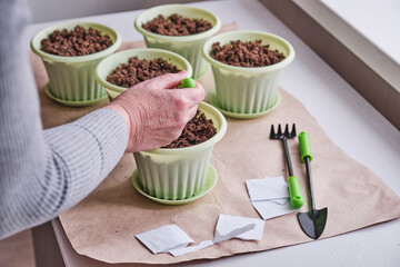 Hand of older female hand planting seeds in the soil.
