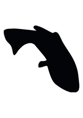 Fish, Fishing, Outdoor, Fisherman, Sea life, Underwater