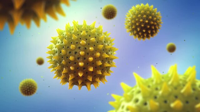 3d render animation of microscopic pollen grains. Pollen allergy is also known as hay fever or allergic rhinitis.