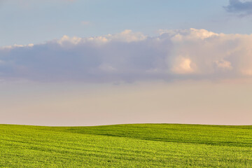 Fototapeta na wymiar Green field under blue clouds sky.
