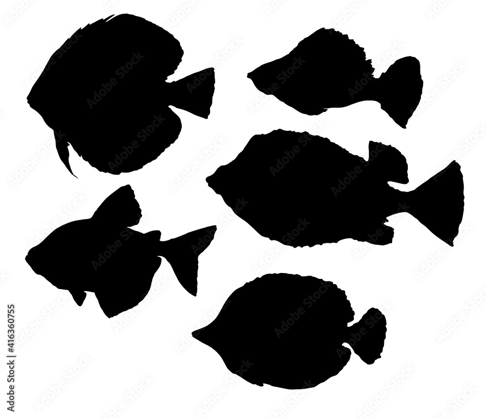 Wall mural vector set of black fish silhouettes of different shapes, drawn by hand. isolated marine isolated fish elements for menu template and packaging design labels