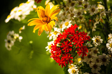 a bouquet of bright spring flowers of various types