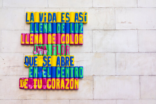 La vida llena de luz y color