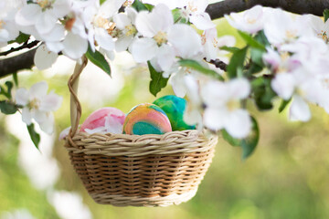 Colorful painted Easter eggs in a beige wicker basket among flowering trees. The basket is hanging on a branch. Spring holiday easter