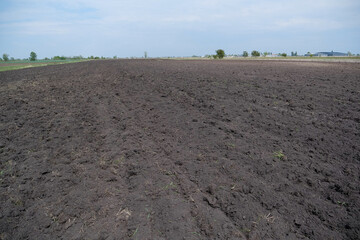 A plowed black soil field