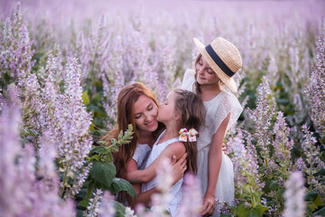 Young mother embraces two daughters among purple blooming sage field. Younger girl kisses woman with love. Dressed in white with straw hats. Traveling with children, maternal care. Close up portrait