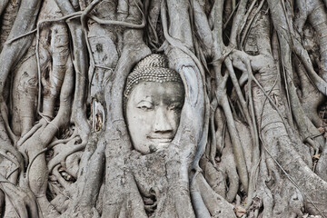 AYUTTHAYA, THAILAND - MAY 25, 2018: Buddha's Head entwined in the roots of a Tree in Wat Mahathat Temple in the Ayutthaya Historical Park in Ayutthaya (second capital of the Siamese Kingdom). 