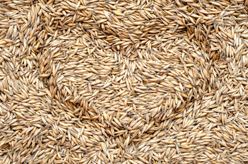 Oats close-up background. View from above 