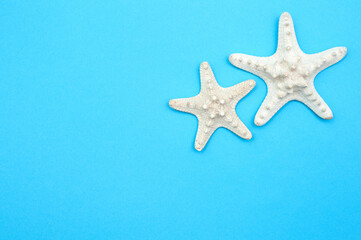 Fototapeta na wymiar Travel background. Starfishes on a blue background