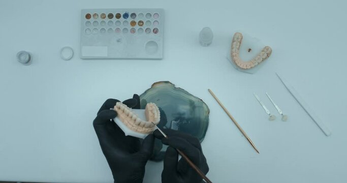 A dental technician is sitting at the table and having some tool, paints and a jaw model on it, he is painting the model, smearing the brush with the brown paint and applying it to the model.