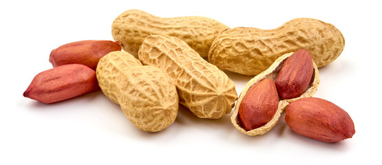 Useful peanut, isolated on white background. High resolution image