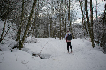 Young Woman Cross Country Skiing in Norway