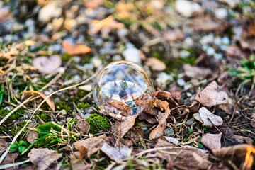 Auf dem Boden liegende Seifenblase auf einem Feld 