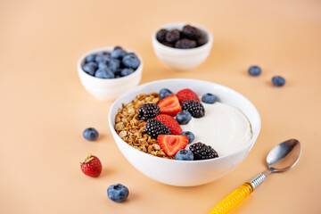 Fresh breakfast with greek yogurt nuts oatmeal granola with berries in a bowl