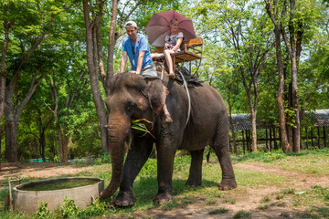 Fototapeta na wymiar A couple of tourists ride an elephant against the backdrop of the jungle.