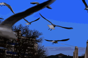 Seagulls are scared of something and ran away from this place