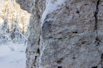 Nature Reserve of Russia, Arkhangelsk region Golubino