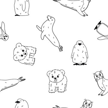 Vector seamless pattern of Penguin, king penguin chick, fur seal, polar bear cub, small Common seal. Set of isolated small cartoon outline cute sea and ocean animals for kids book, prints for clothes