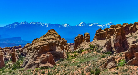 Eroded landscape, Arches National Park, Moab, Utah, US