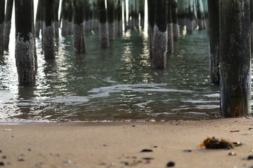 Shoreline Under the Pier