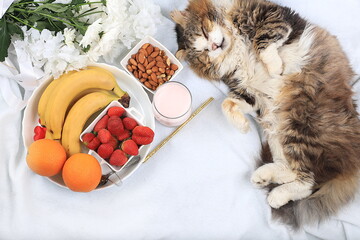 Healthy breakfast with ingredients, cozy home office with a sleeping cat. strawberries, nuts and fruits on a light blanket, detox diet concept, healthy lifestyle, modern woman work desk, flat lay,