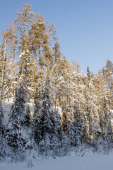 Nature Reserve of Russia, Arkhangelsk region Golubino