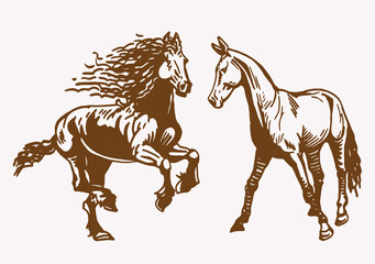 vintage vector set of graphical horses,illustration