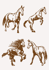 vintage vector set of graphical horses,illustration