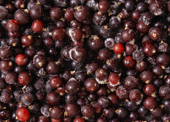 Frozen berry gooseberry background.
