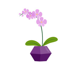 Lilac orchid in a geometric pot. Vector illustration in a simple cartoon style on a white background. Clipart for interior, room, garden hobby, flower shop concept