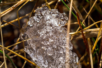 Macro image of a fragment of melting snow on the grass of early spring. Melting snow turns into melting ice crystals