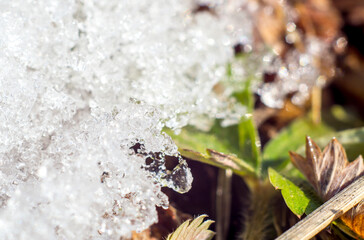 Macro image of a fragment of melting snow on the grass of early spring. Melting snow turns into melting ice crystals