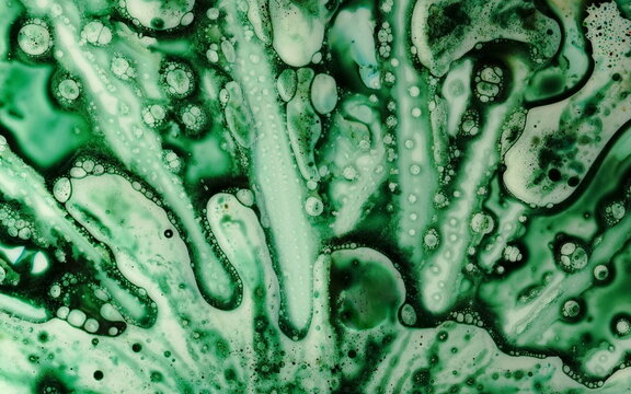 Plate dripping with colored water