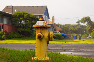 Yellow fire hydrant on the street. - Powered by Adobe