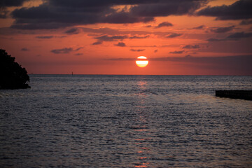 sun's up - Miami - Deering Estate 