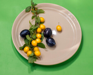Yellow and red plums in a plate on a green background . Top view.Soft focus