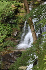 waterfall in the forest