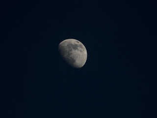 in a dark blue evening sky stands the half moon with its well recognizable moon craters