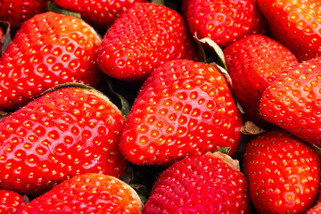 Fresas