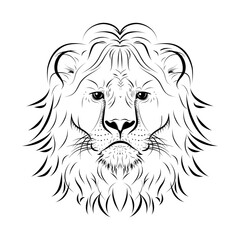 Sketch. Head of lion.