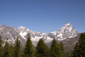 Obraz premium High mountains covered with snow and in the foreground a green forest. Beautiful landscape.
