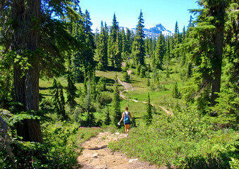 Obraz premium Fragment of the Mt. Washington trail.