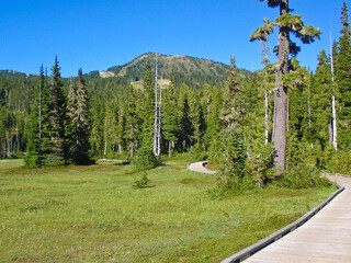 Fragment of the Mt. Washington trail.