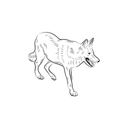 Fototapeta premium Sketch of wolf.