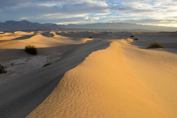 Fototapeta na wymiar Mesquite Flat Sand Dunes at sunrise, Death Valley, California