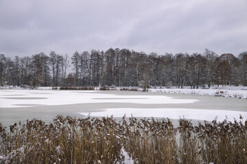 Winter landscape by the frozen pond covered with snow.