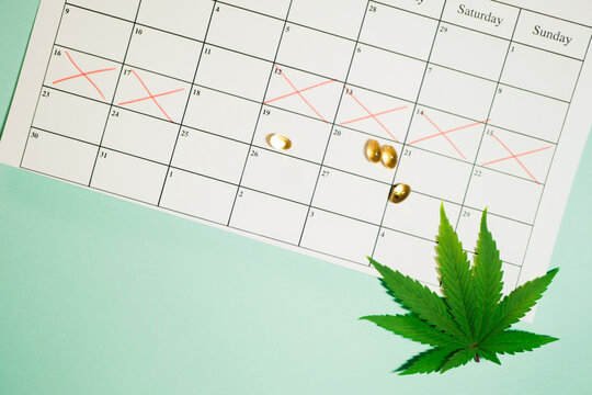 CBD oil for menstrual pain. Cannabis leaf flat lay. Calendar with period dates. 