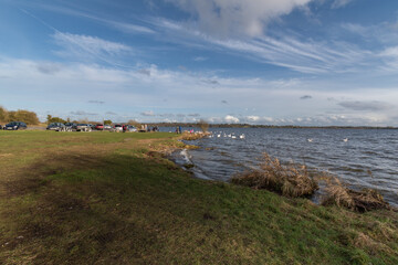 Fototapeta na wymiar Families enjoing spring sun shine at the lake. Feeding group of swans in the park.