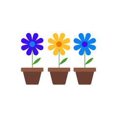 Flowers in pots isolated on white background. Potted plants in flat style. Vector illustration